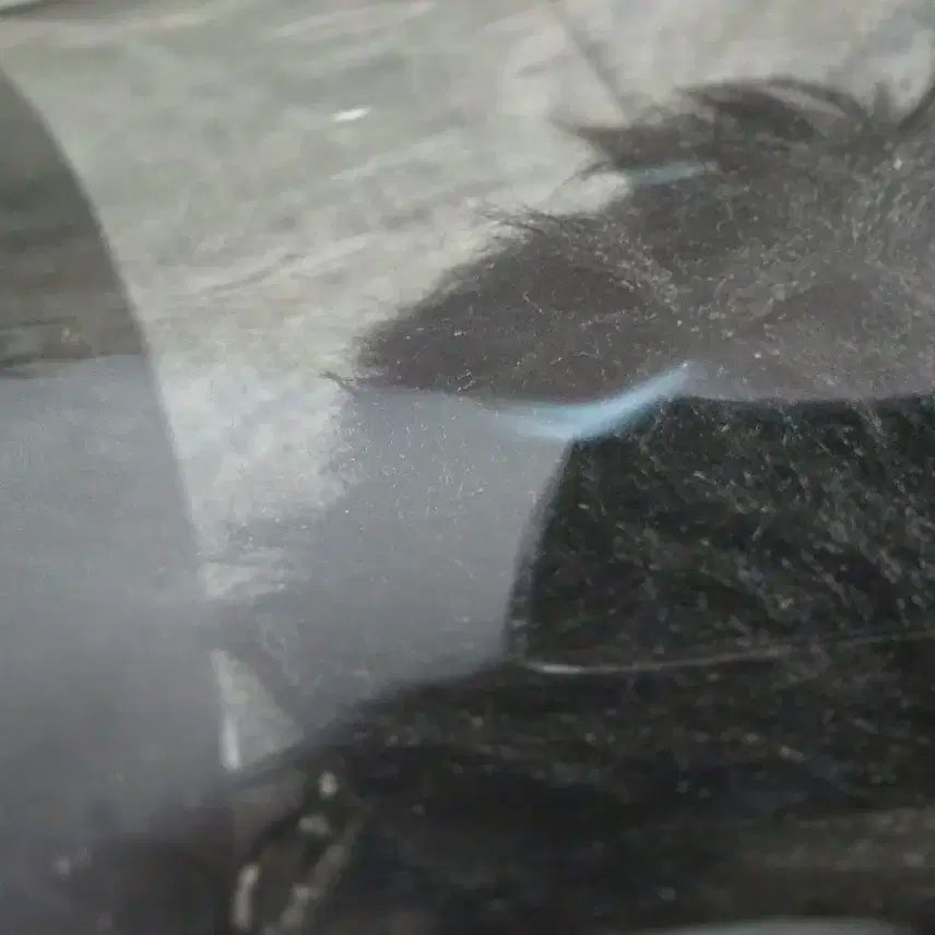 갓세븐 GOT7 JAYB JB 재범 뽐터리 인형