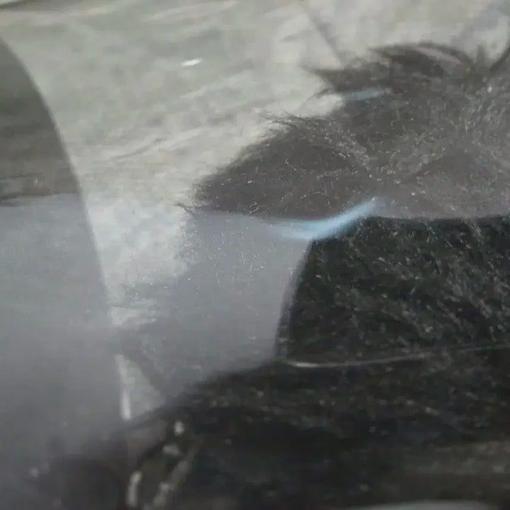 갓세븐 GOT7 JAYB JB 재범 뽐터리 인형