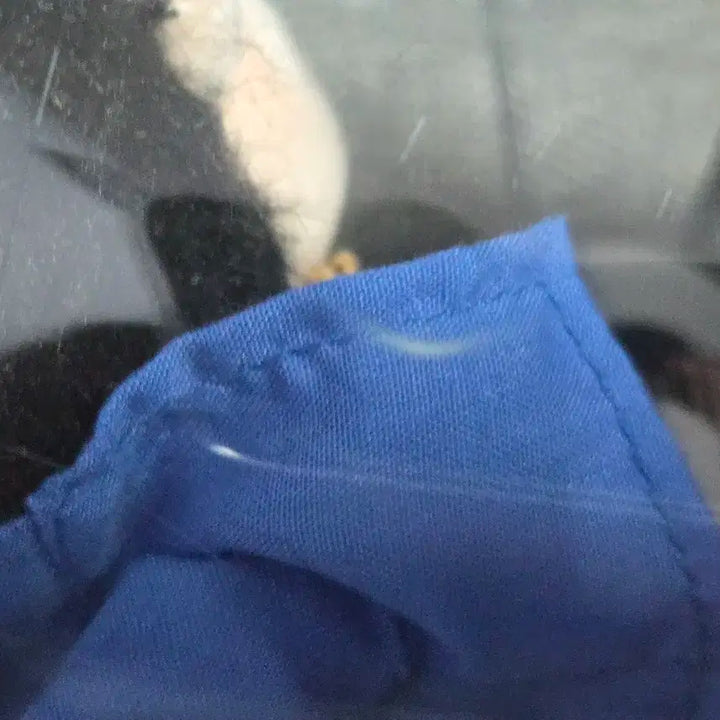 갓세븐 GOT7 JAYB JB 재범 뽐터리 인형