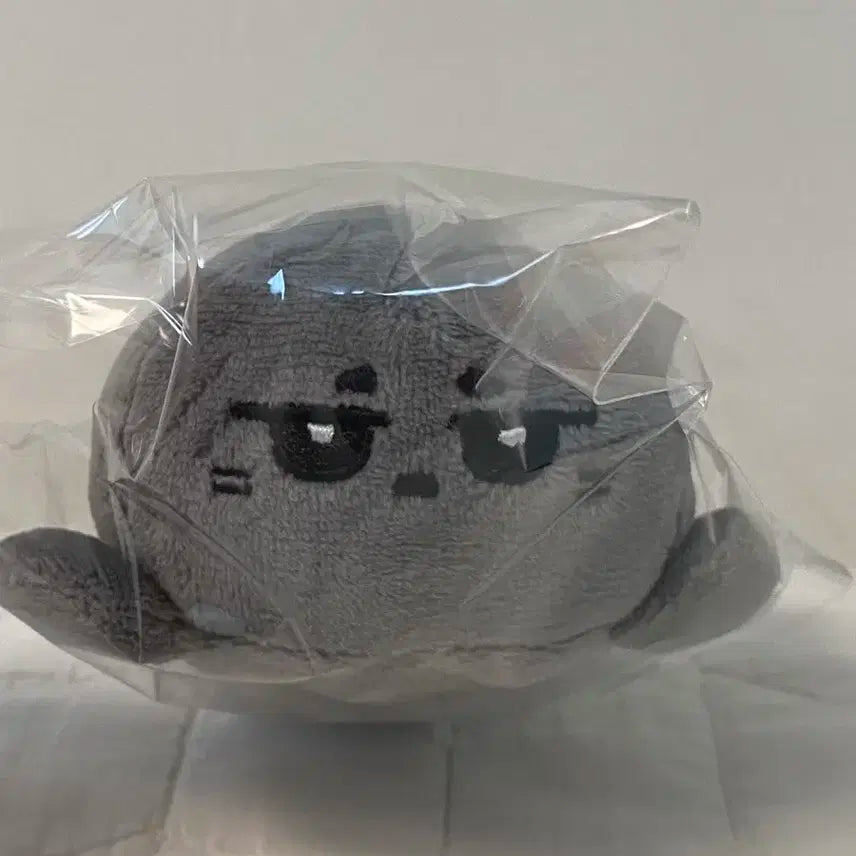 몬스타엑스 아이엠 창균 인형 물개균