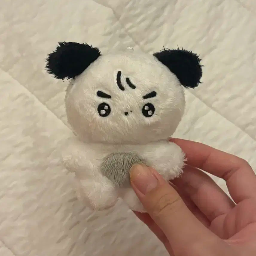 더보이즈 영훈 김뽀리 인형