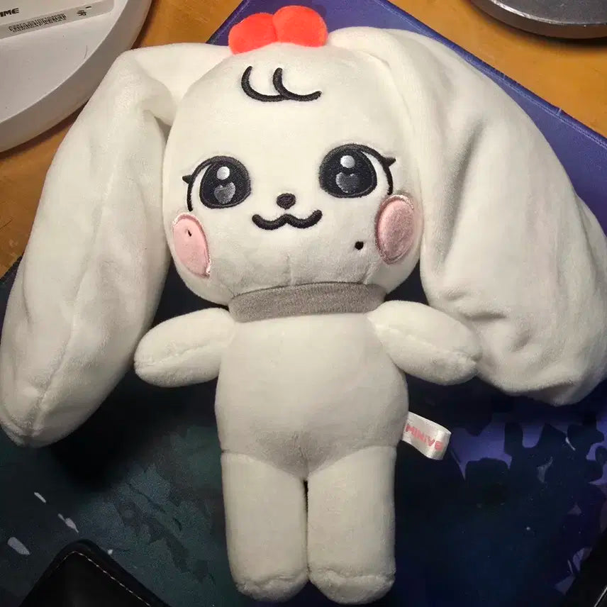 미니브 체리 아이브 원영