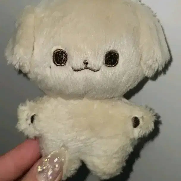급처 엔시티드림 제노 인형 콩쩬 양도