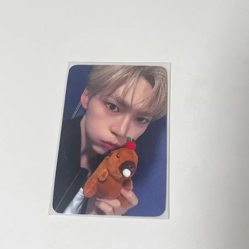 미공포 덤)성한빈 사운드웨이브 미공포 제베원