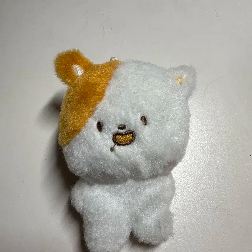 엔시티드림 지성 인형 포켓찌