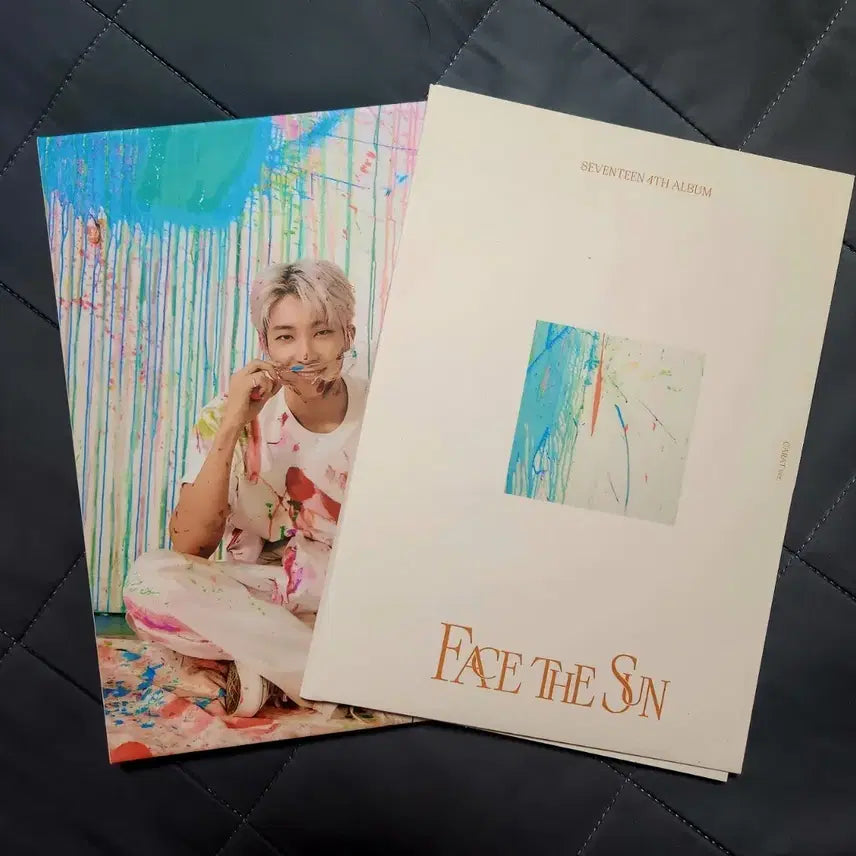 세븐틴 원우 페이스더썬 캐럿반 양도