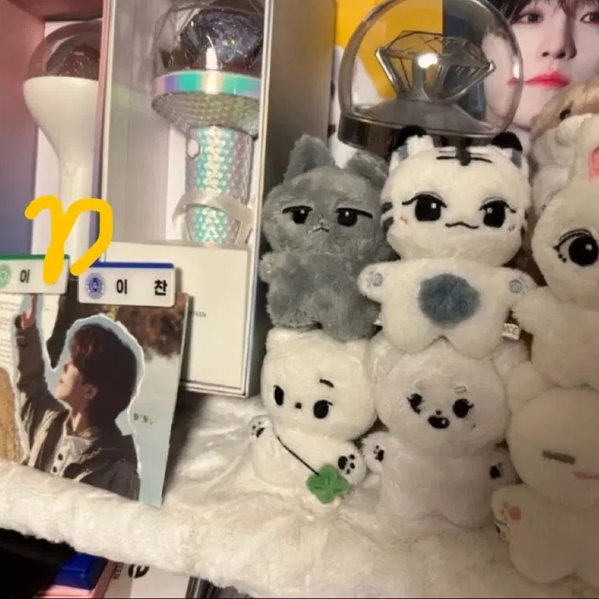 세븐틴 공굿+비공굿