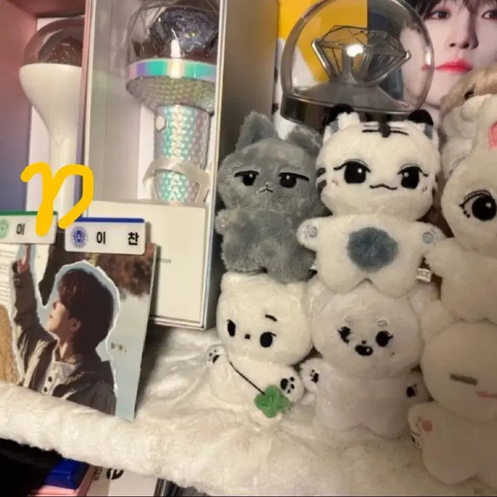 세븐틴 공굿+비공굿