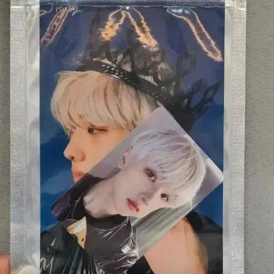 엔시티 드림 NCT dream 엔드림 지성 포토세트 포카 포토카드