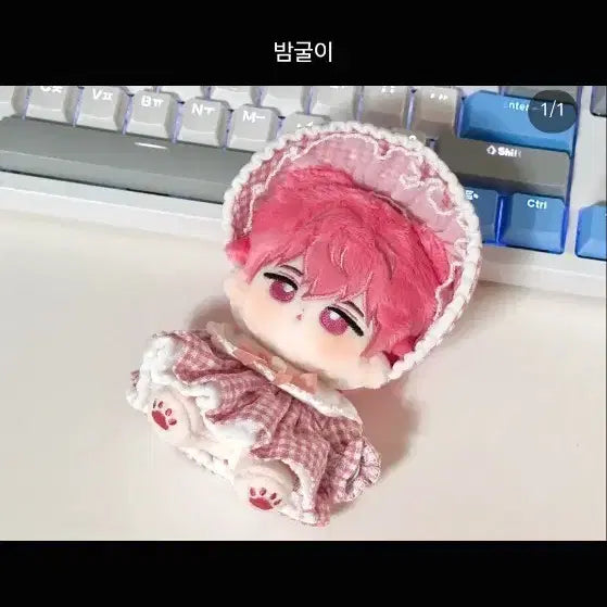 플레이브 밤비 밤굴이+포카