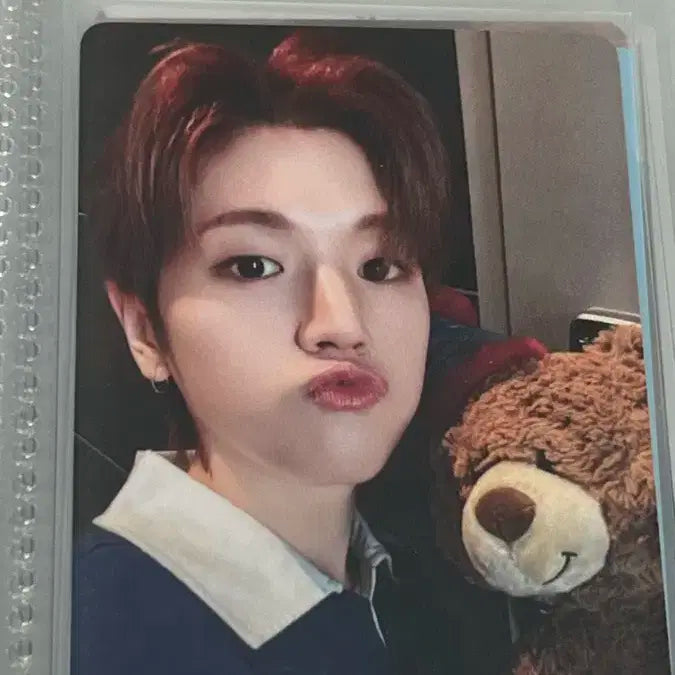 보넥도 리우 19.99 이즈위 곰인형 포카