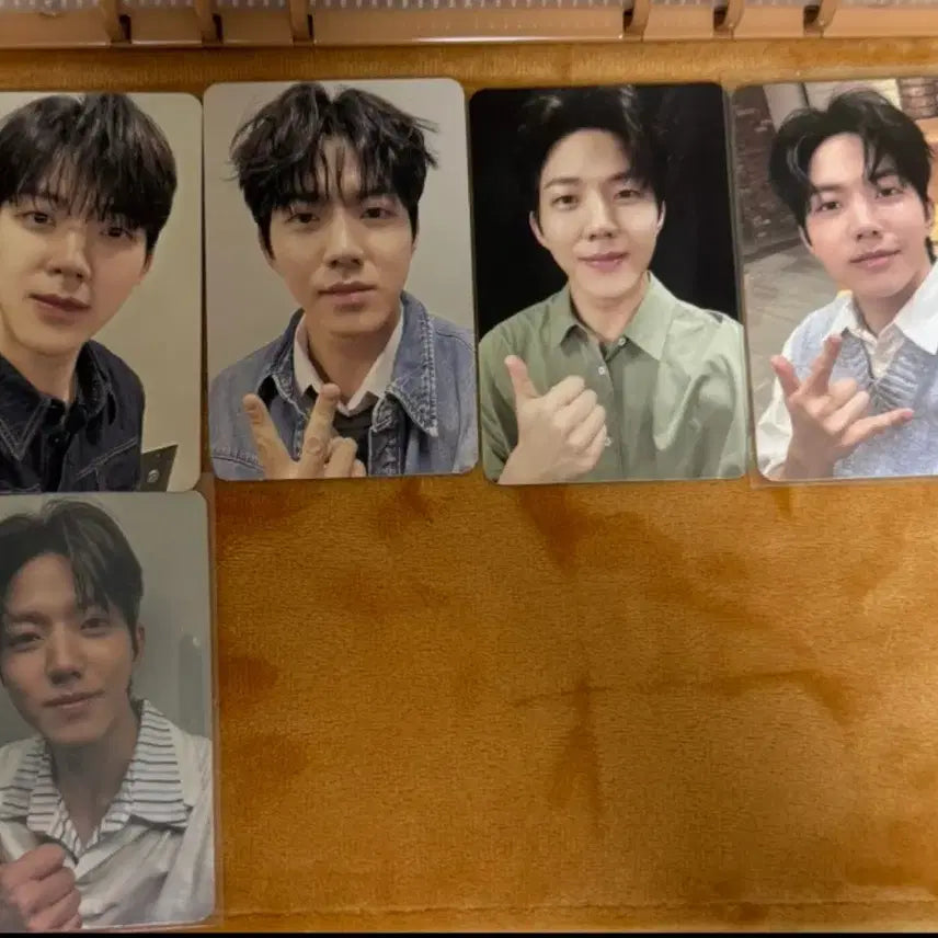 데이식스 도운 포카 일괄