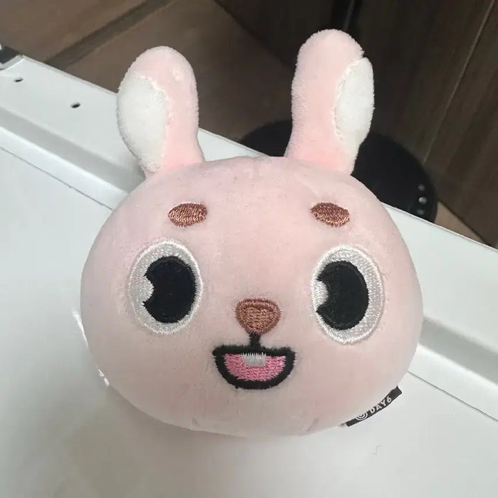 데이식스 데니멀즈 스트레스볼 필 양도