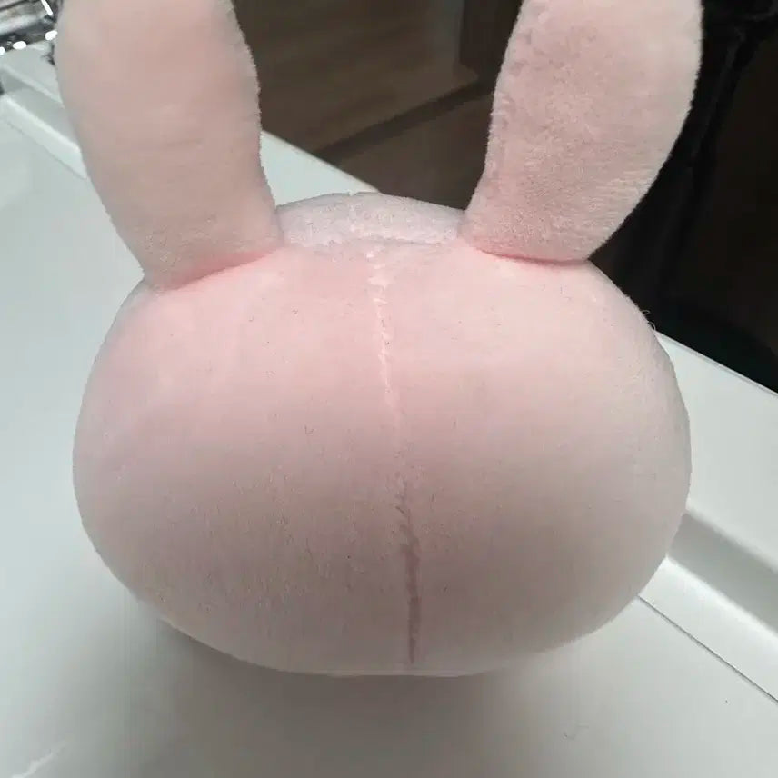 데이식스 데니멀즈 스트레스볼 필 양도