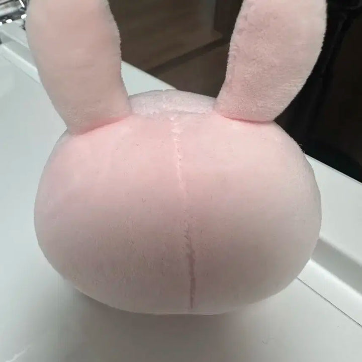 데이식스 데니멀즈 스트레스볼 필 양도