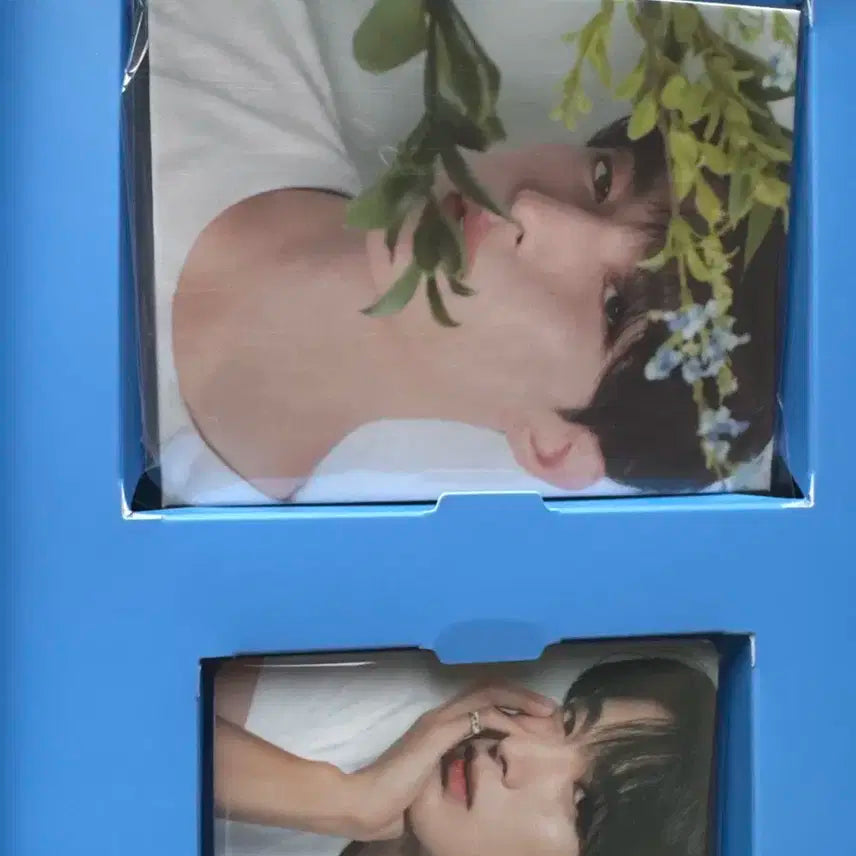 IS RIGHHT HERE 캐럿반 도겸