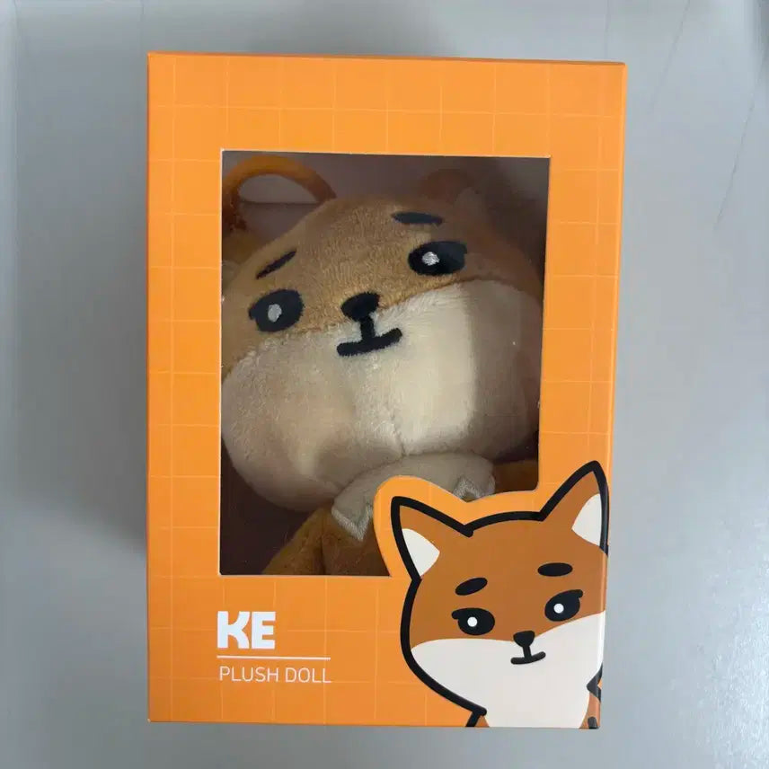 데이식스 데니멀즈 20 케