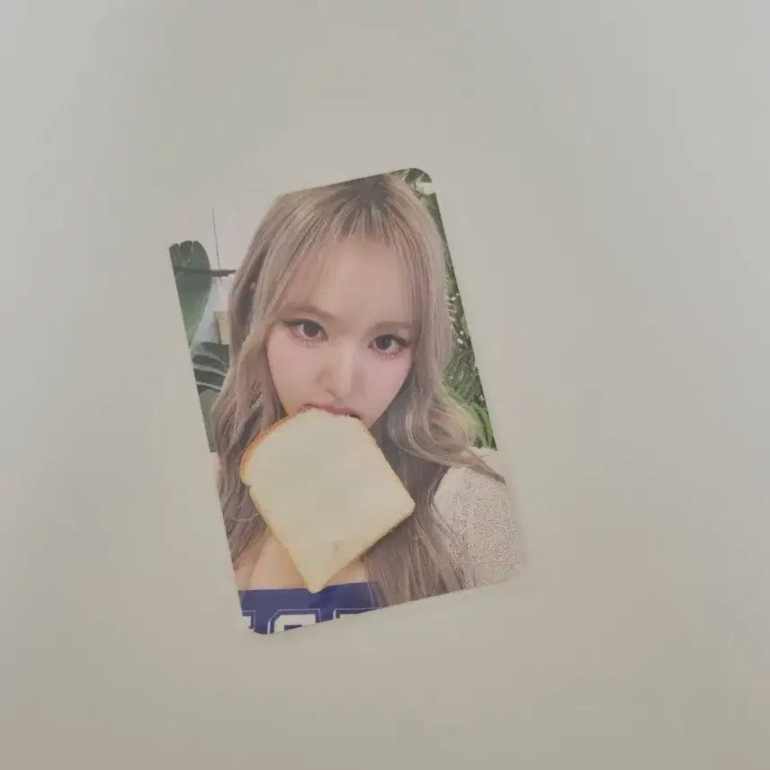 IVE 아이브 리즈 위드뮤 럭키드로우 포카