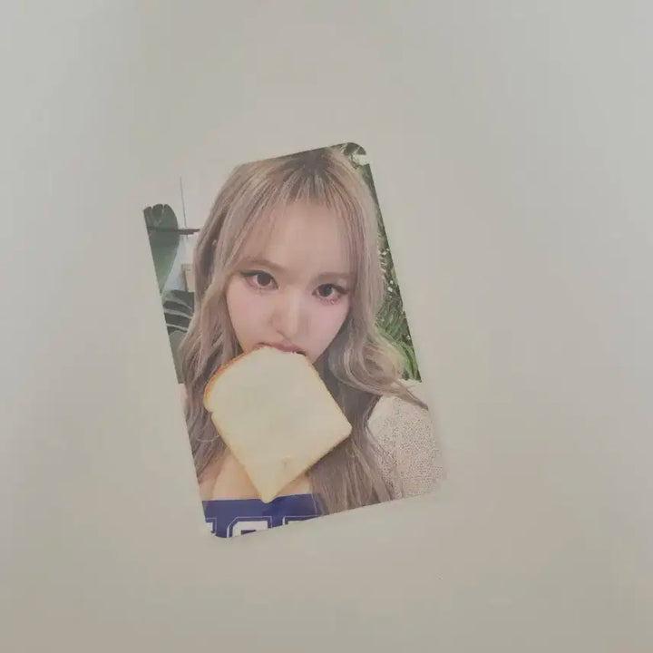 IVE 아이브 리즈 위드뮤 럭키드로우 포카