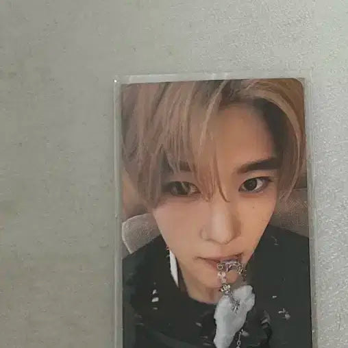 NCT wish 시온 포카