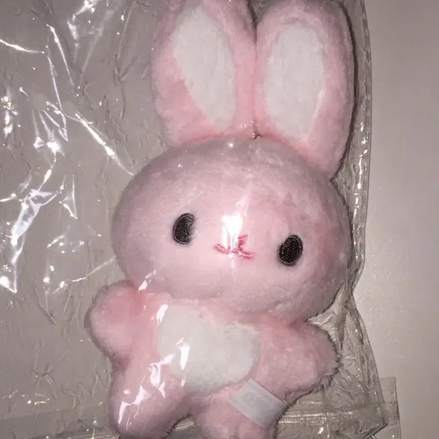 제로베이스원 한유진 인형 유진끼 양도합니다