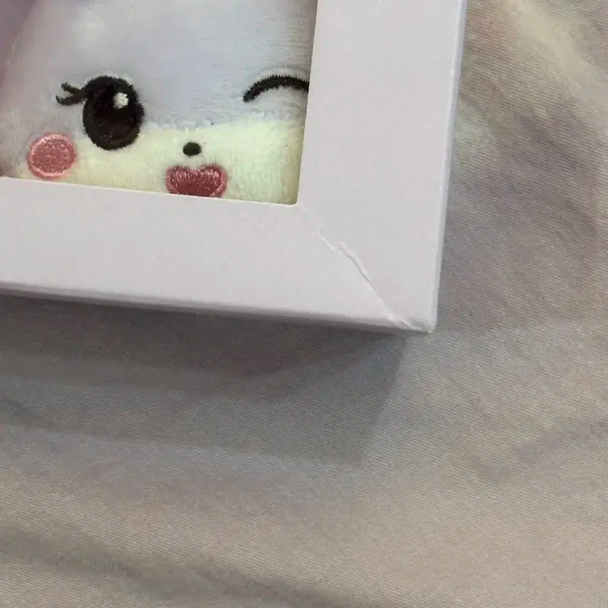 [판매] 블랙핑크 김지수 인형 굿즈 월드투어 페이스 키링 캐리터