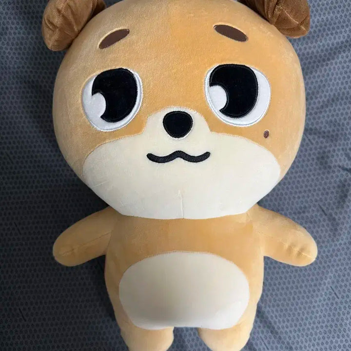 자이언트 데니멀즈 돈 자멀 돈 데이식스 엠디 md