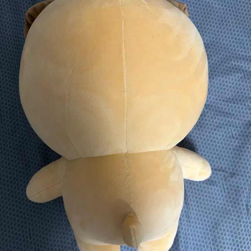 자이언트 데니멀즈 돈 자멀 돈 데이식스 엠디 md