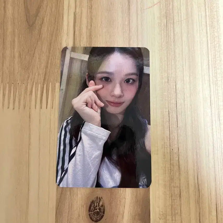 엔믹스 설윤 엑스페르고 공방 포카