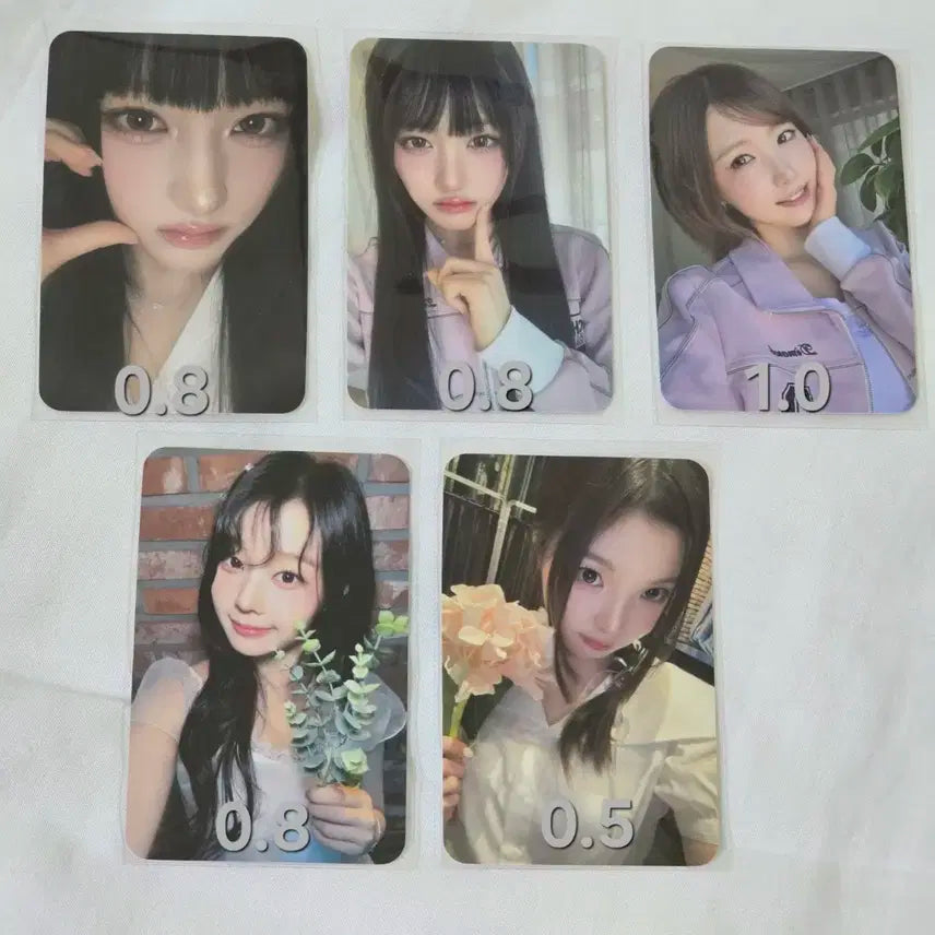 세이마이네임 샤랄라 어레이즈 럭드 미공포 양도