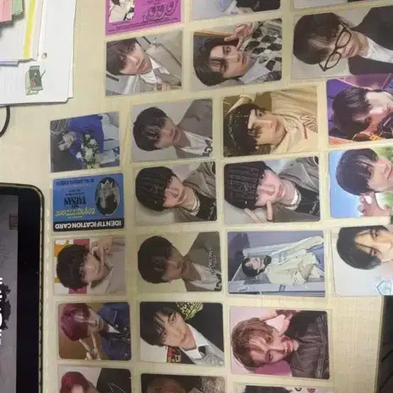 보이넥스도어 태산포토카드