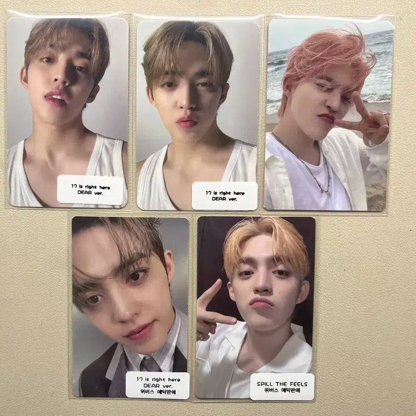 세븐틴 에스쿱스 포토카드 포카 양도 판매