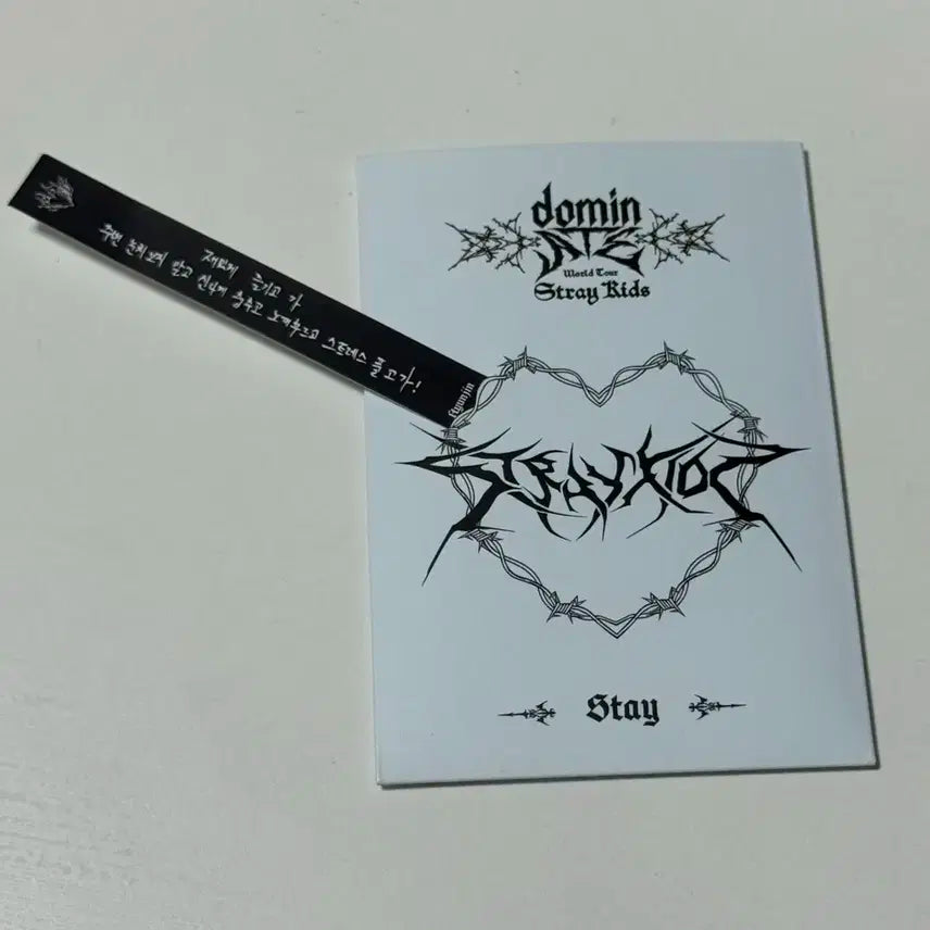 2024 SKZ 스키즈 콘서트 스테이존 메시지카드 현진