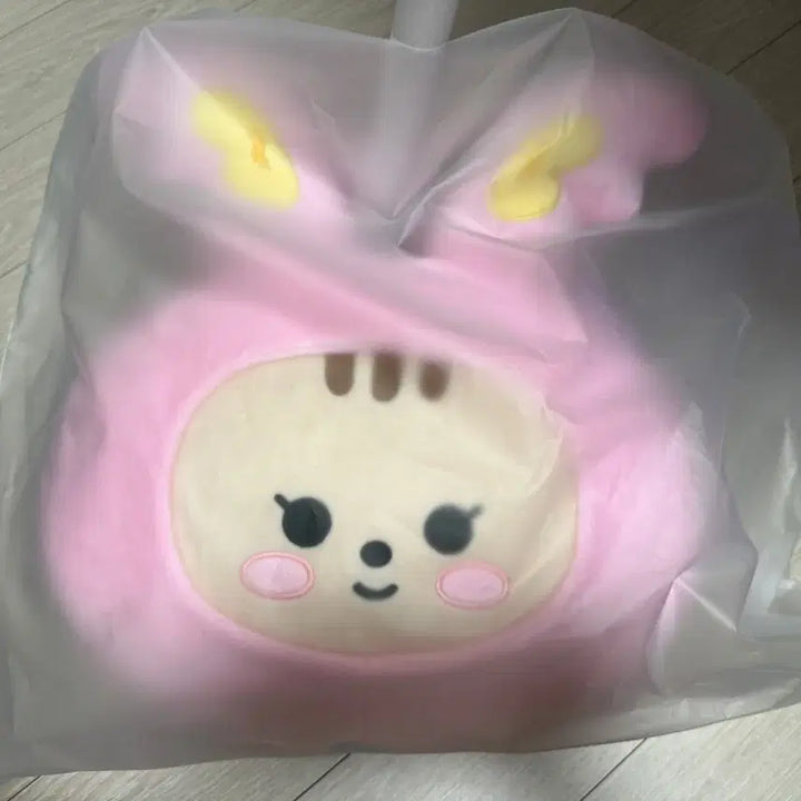 세븐틴 미니틴 인형 쿠션 양도합니다! 탐탐이 쫑토람