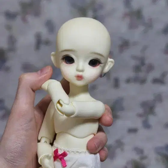 스윗앤돌 인아 구체관절인형 풀세트