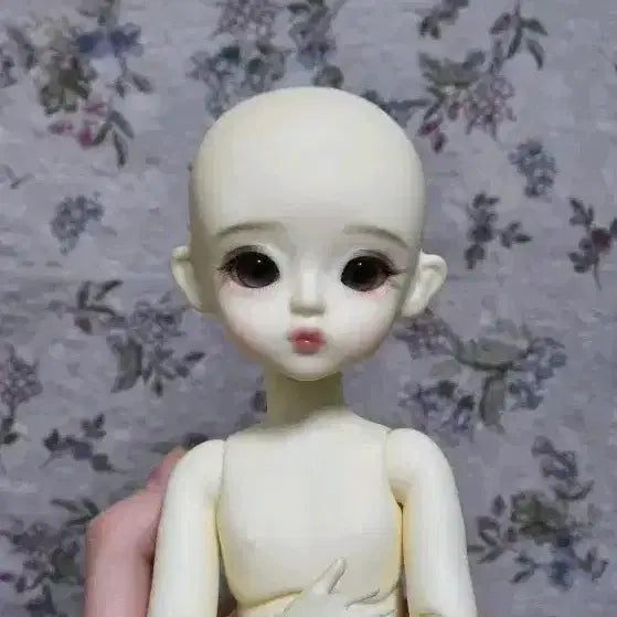 스윗앤돌 인아 구체관절인형 풀세트