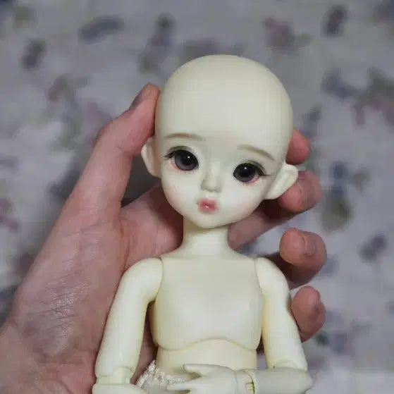스윗앤돌 인아 구체관절인형 풀세트