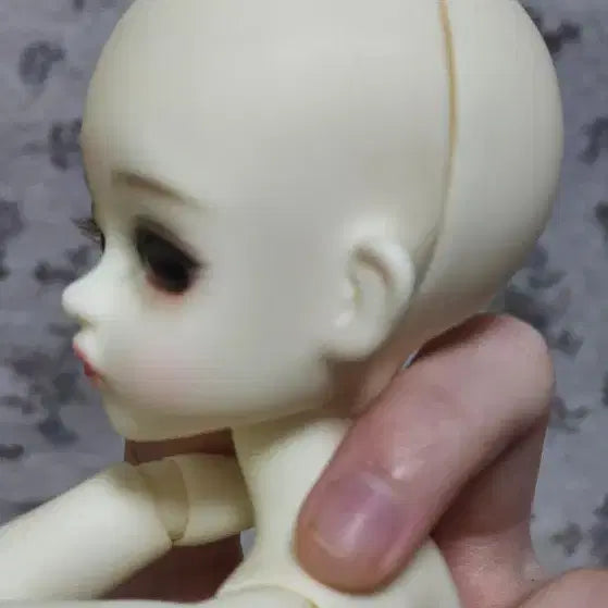 스윗앤돌 인아 구체관절인형 풀세트