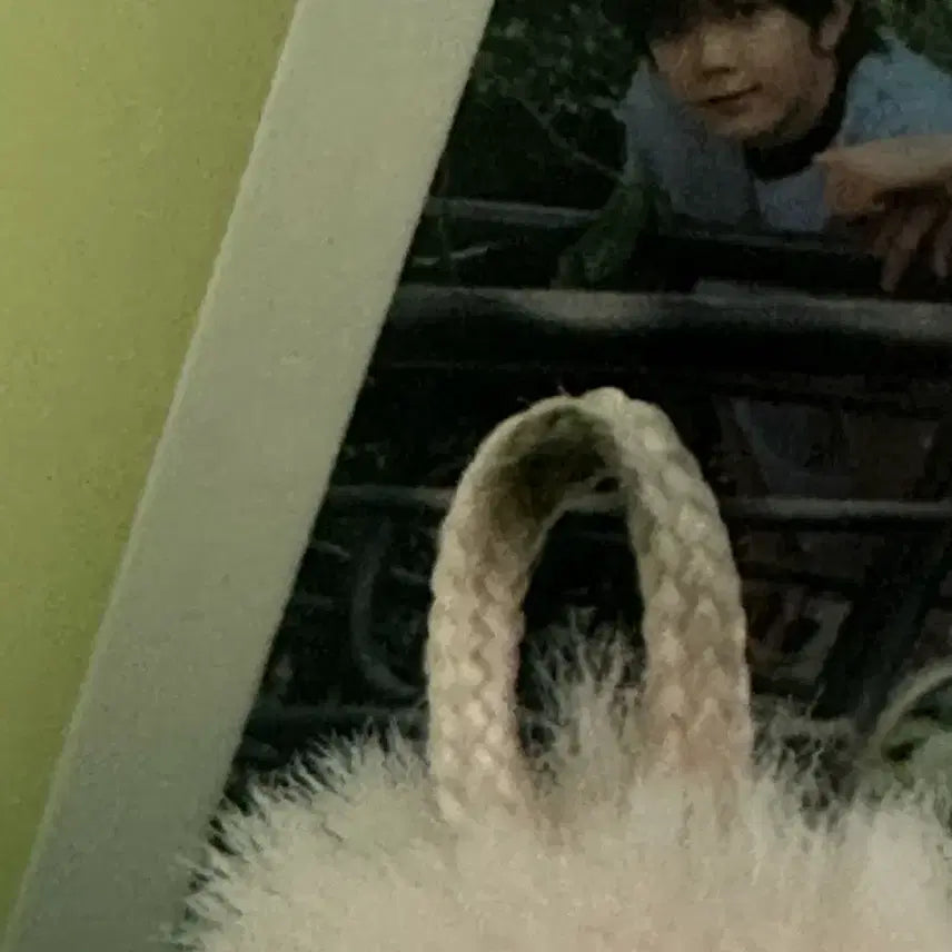 엔시티위시 팝츄