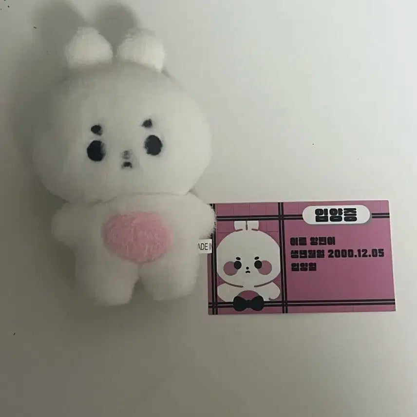 투모로우바이투게더 수빈 인형 앙빈이 판매