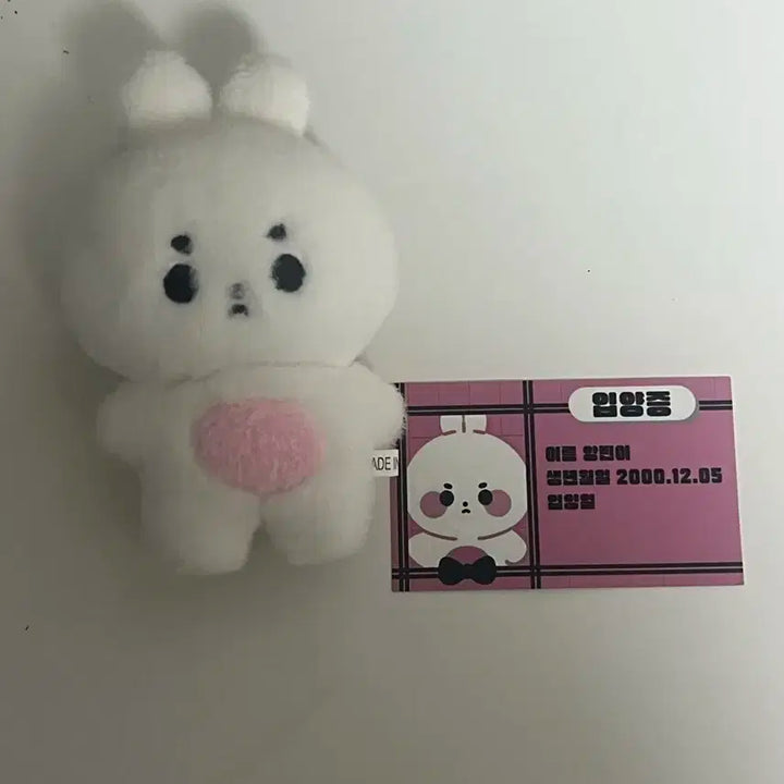 투모로우바이투게더 수빈 인형 앙빈이 판매