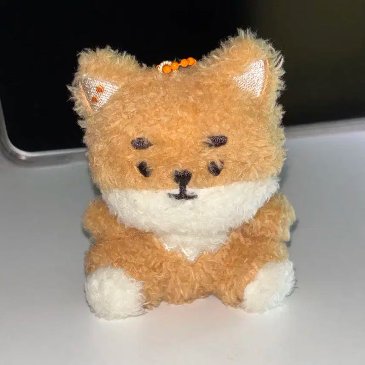 데이식스 앉은케 데니멀즈 시팅
