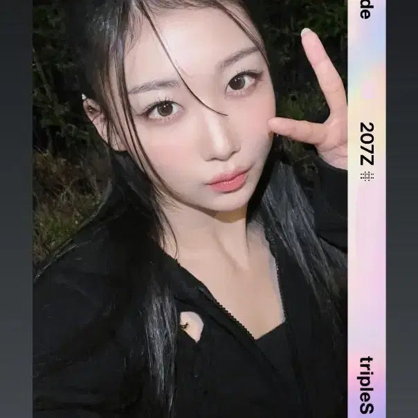 트리플에스 카에데 D207