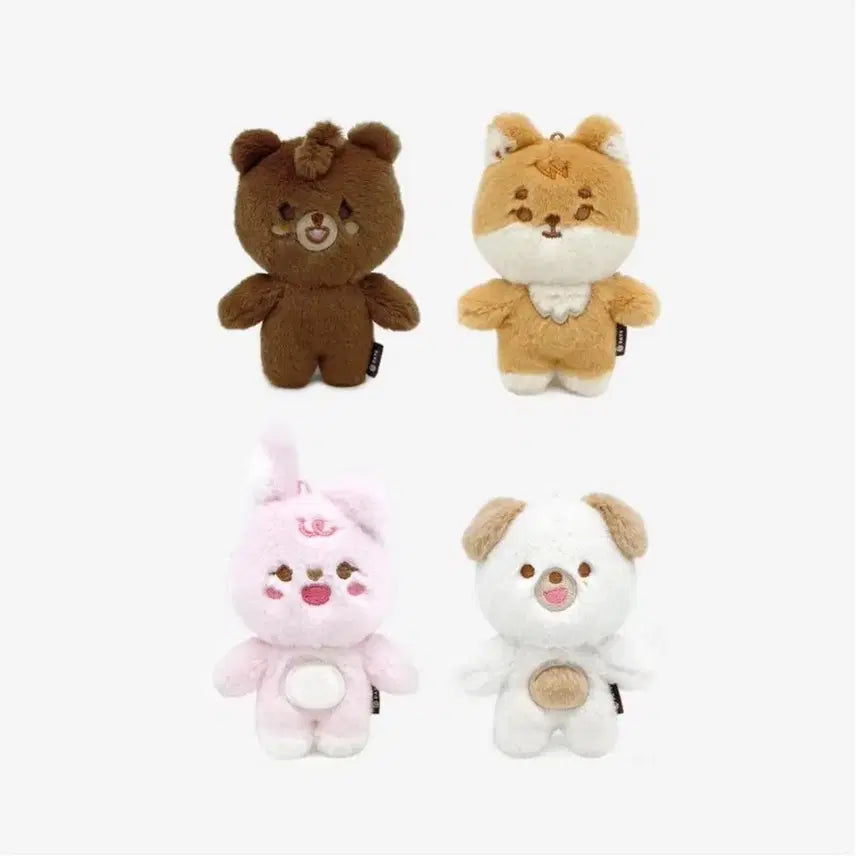 데이식스 쁘멀 돈 미개봉(재판X)