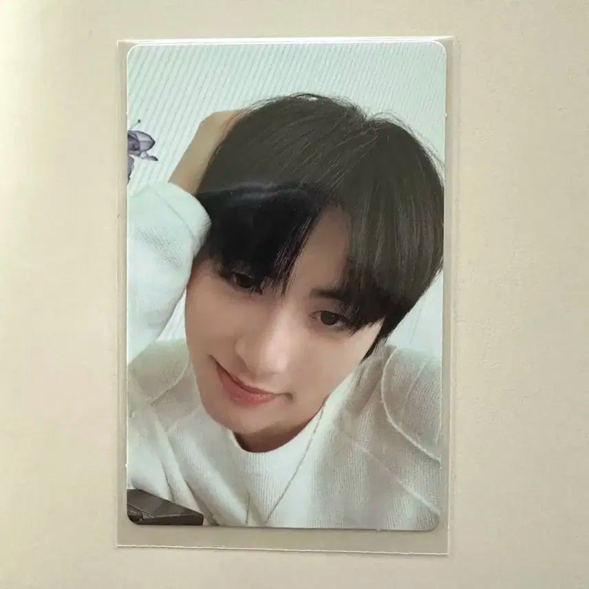 보넥도 who 태산 포카