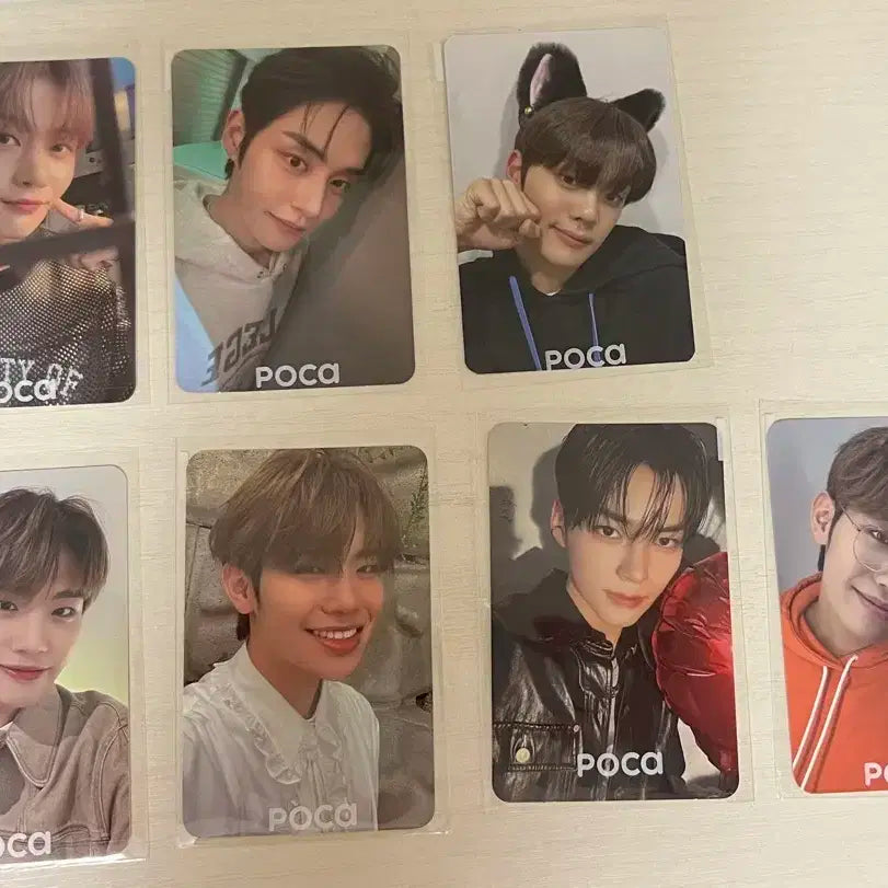 제베원 포카 일괄 양도