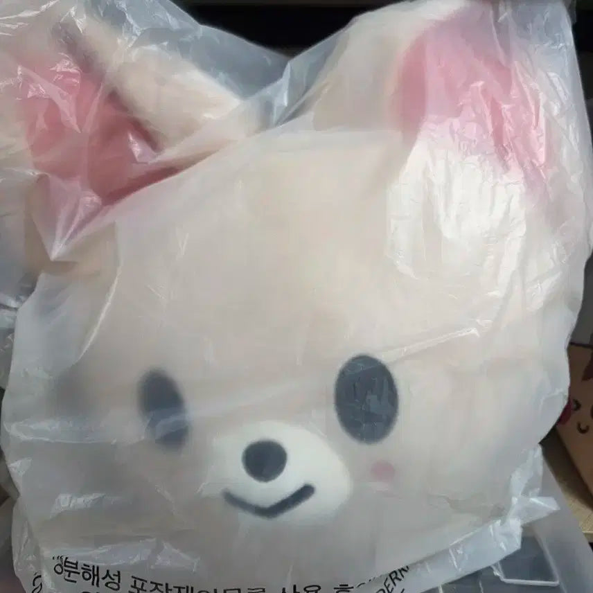 스트레이키즈 스키주 베이비쿠션 폭시니