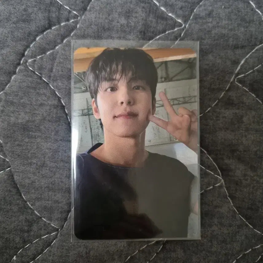 데이식스 반스 원필 포카