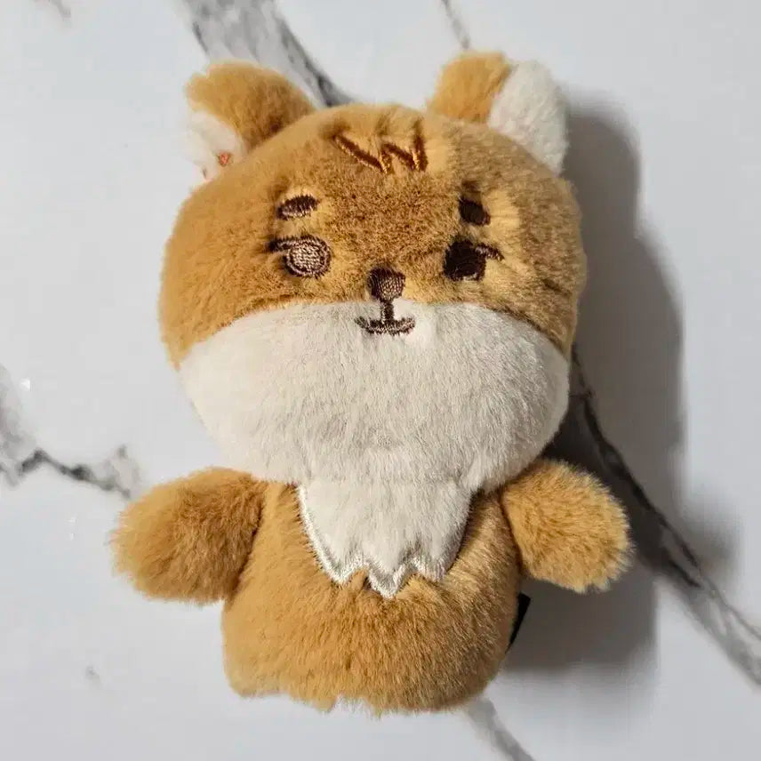 데이식스 핑거 데니멀즈