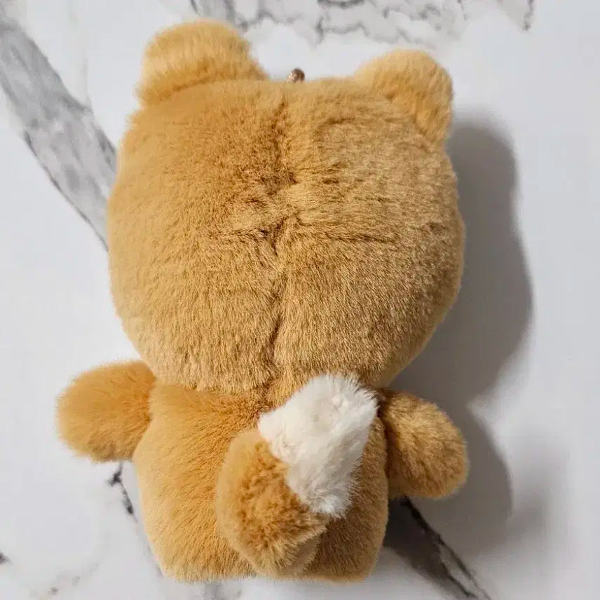 데이식스 핑거 데니멀즈